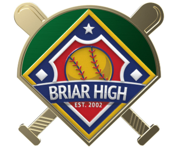 Baseball Field Trading Lapel Pin