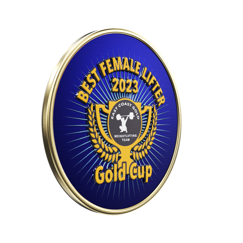 Round Lapel Pin