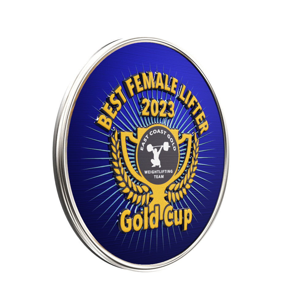 Round Lapel Pin