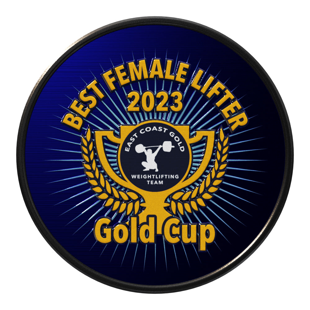 Round Lapel Pin