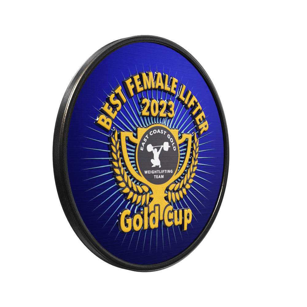 Round Lapel Pin