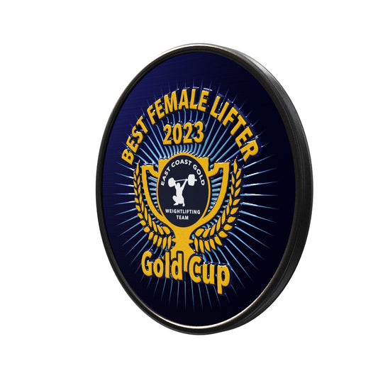 Round Lapel Pin